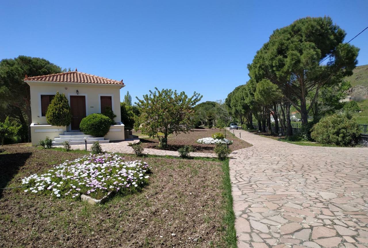 Gaea Gardens Studios & Villas Petra  Exteriör bild